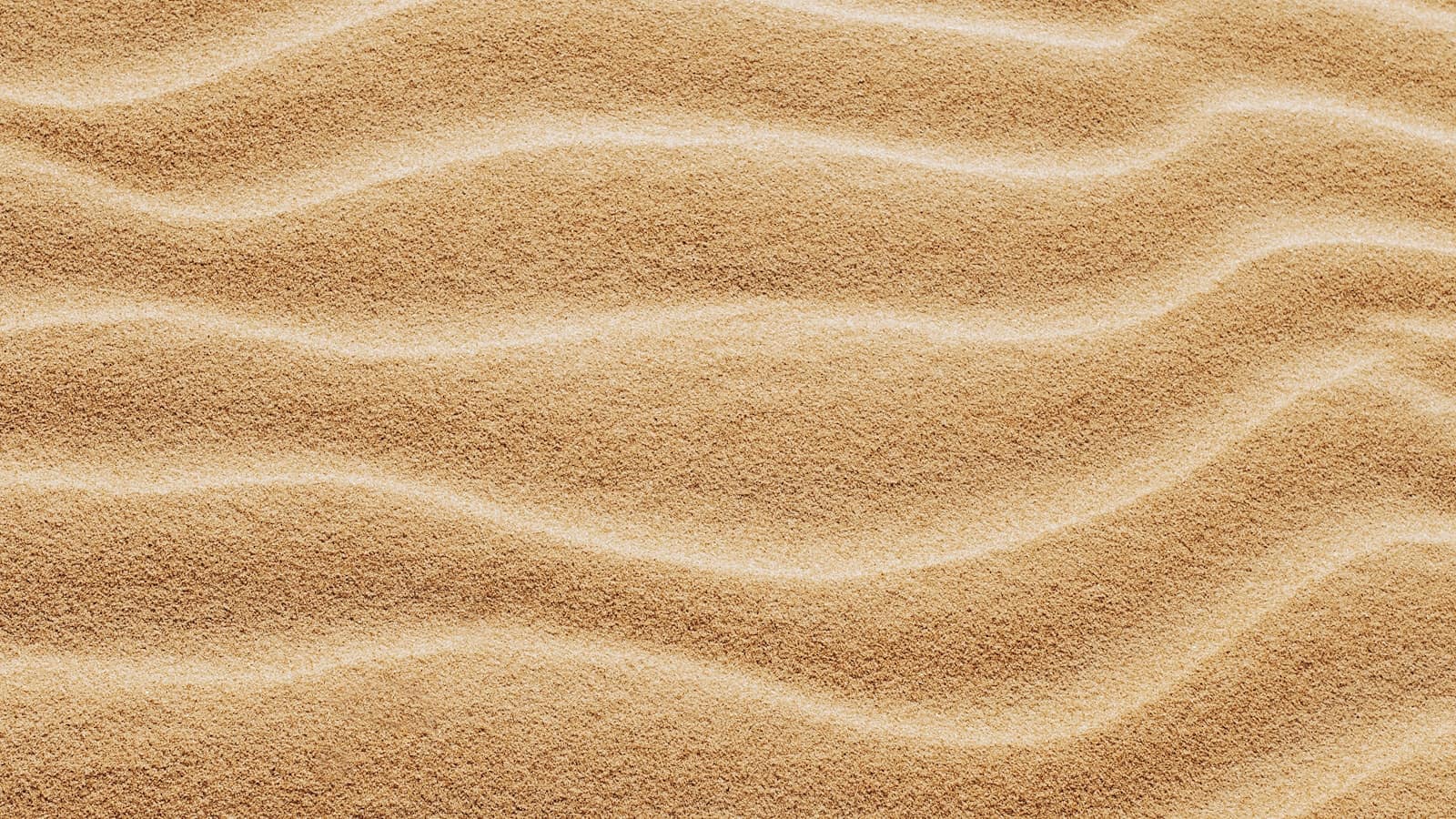 Wind-rippled ridges running across a sand dune